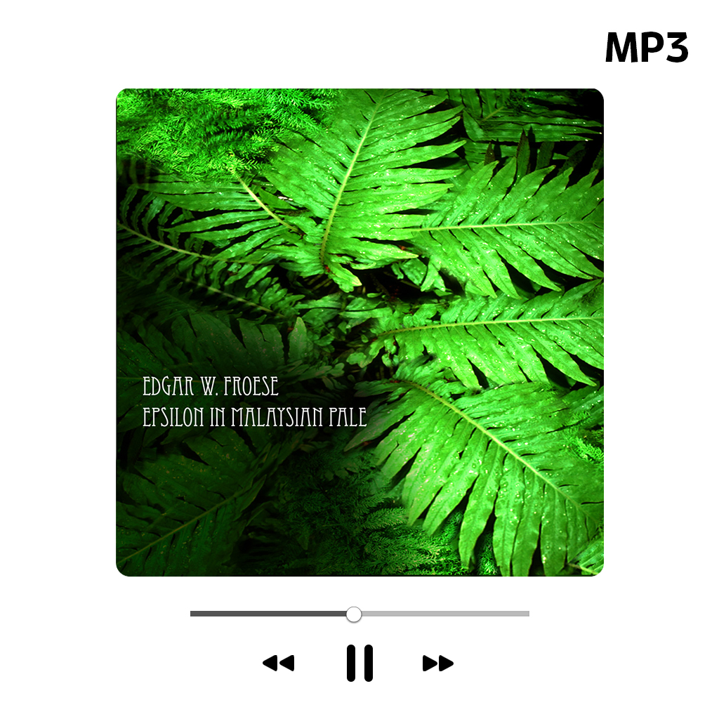 洋楽 Edgar Froese - Epsilon in Malaysian Pale Epsilon in Malaysian Pale - Amazon.com Music